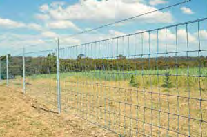 Farm Fences