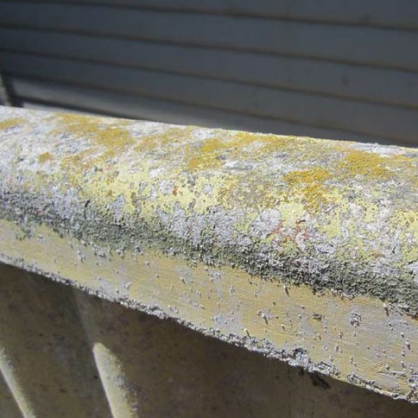 Asbestos Fence Capping